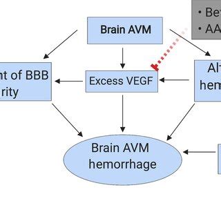 196 Increased Hemorrhage Risk With Brain AVM-Associated