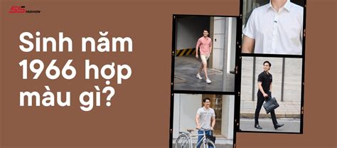 1966 tuổi gì | Nm 1966 mnh g Hp mu g