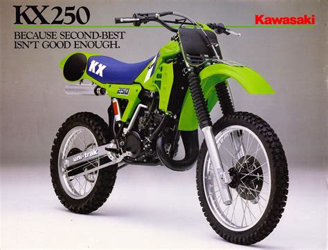 1984 kawasaki kx 250 service manual. - The dietitians guide to vegetarian diets issues and applications.