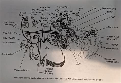 1986 toyota pickup manual transmission fluid. - Fidélité des transcriptions phonétiques effectuées par les orthophonistes.