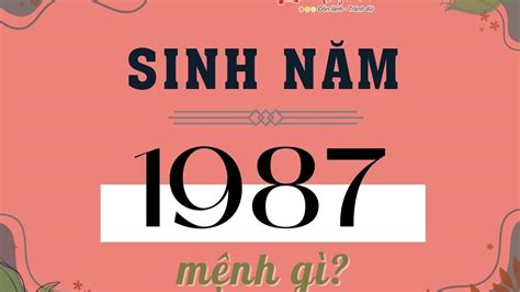 1987 tuổi gì | Nam N tui inh Mo 1987 mnh