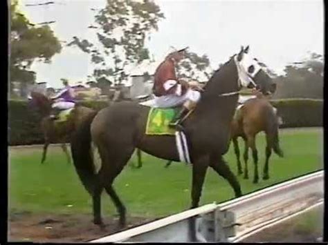 1988 AUSTRALIAN CUP - DANDY ANDY - YouTube