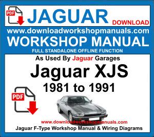 1990 jaguar xjs v12 service manual. - American government straighterline exam study guide.