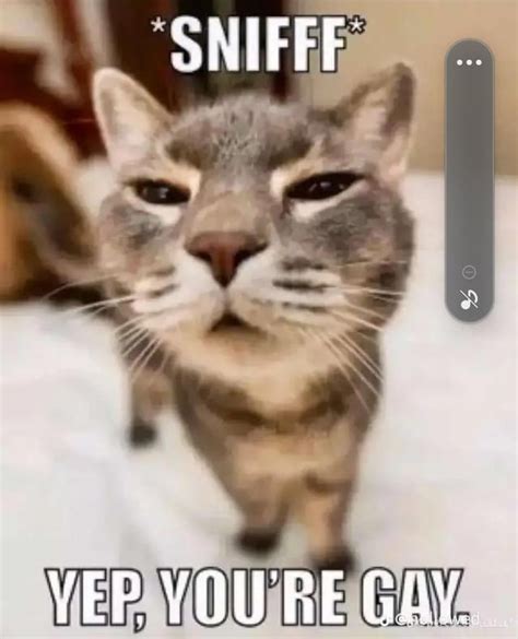 1990s gay alert prank