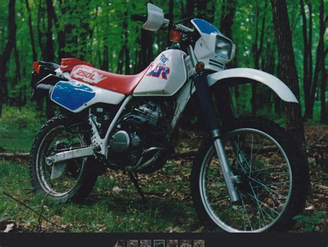 1991 honda xr 250 l owners manual free. - Public finance and public policy gruber 4th edition.