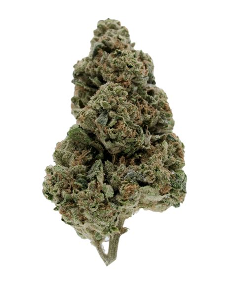 OG Story is a hybrid marijuana strain with an unknown lineage. This st