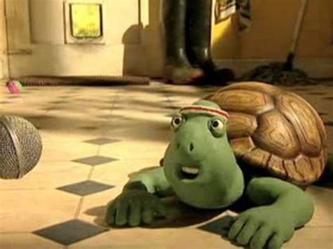 1992 Electricity Creature Comforts Tortoise Advert