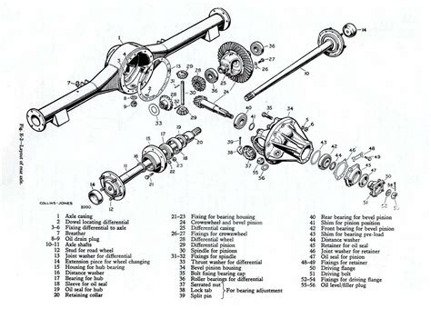 1992 audi 100 axle assembly manual. - Williams textbook of endocrinology 14th edition.