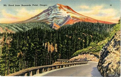 1993 Vintage Postcard Mt. Hood Oregon Used Old Mountain …