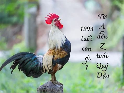 1993 tuổi con gì | Sinh nm 1993 mnh g Hp mu