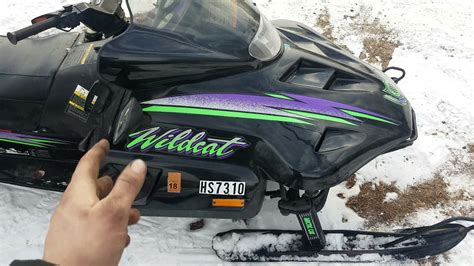 1994 arctic cat wildcat 700 efi manual. - G del s theorem an incomplete guide to its use.