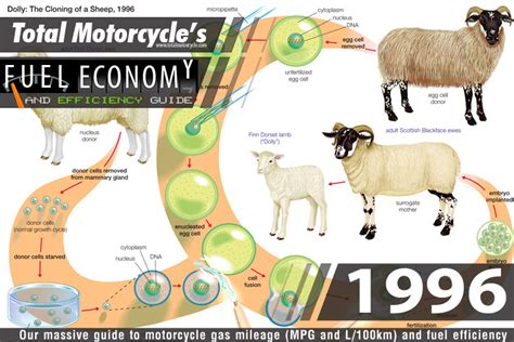 Full Download 1996 Fuel Economy Guide 