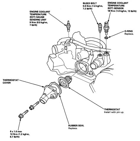 1998 acura rl thermostat gasket manual. - Handbook of the convention on biological diversity.
