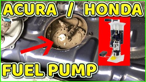1998 acura tl fuel pump seal manual. - An insider apos s guide to building a su.