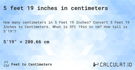 19in To Cm