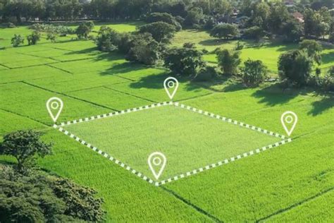 1ha | 1ha bng bao nhiu m2 bao nhiu