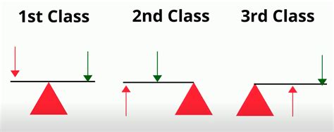 1st 2nd 3rd Class Lever Examples