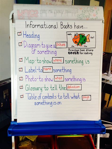 1st And 2nd Grade Informational Text Features Activity 1st Grade Informational Text - 1st Grade Informational Text