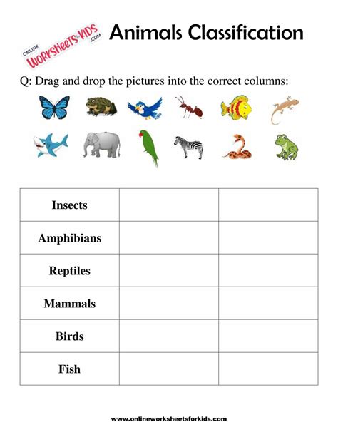 1st Grade Animals Zoology Worksheets Teachervision 1st Grade Animal Coloring Worksheet - 1st Grade Animal Coloring Worksheet