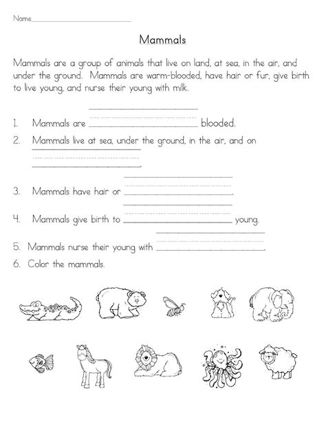 1st Grade Mammals Worksheets K12 Workbook Mammals Worksheets First Grade - Mammals Worksheets First Grade