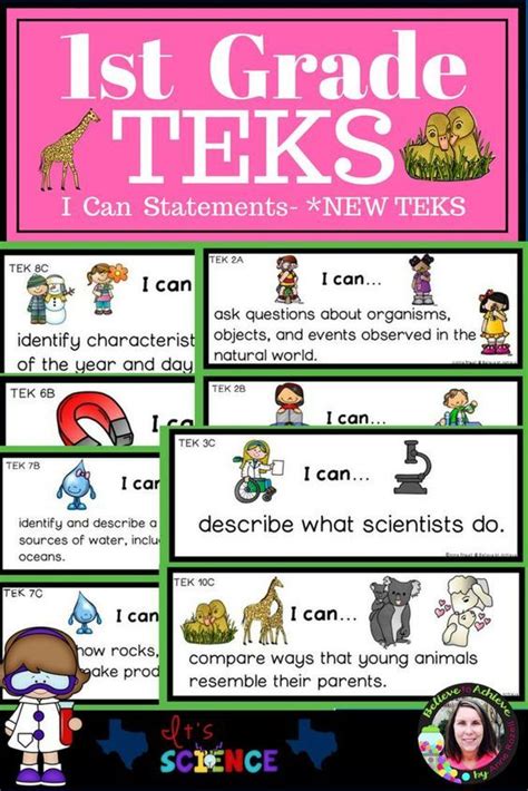 1st Grade Science Teks Cards In English And Teks For 1st Grade - Teks For 1st Grade