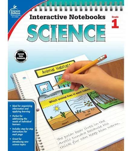 1st Grade Science Workbook Interactive Notebook For Physical First Grade Science Workbook - First Grade Science Workbook