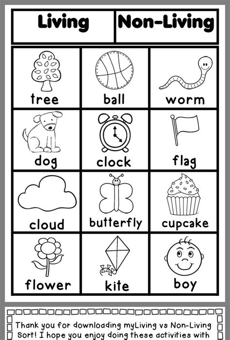 1st Grade Science Worksheets Word Lists And Activities Science Lesson First Grade - Science Lesson First Grade