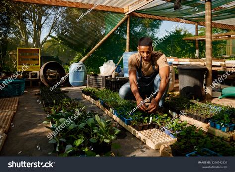 2,406 African Al Stock Photos - Dreamstime - wintechmobiles.com