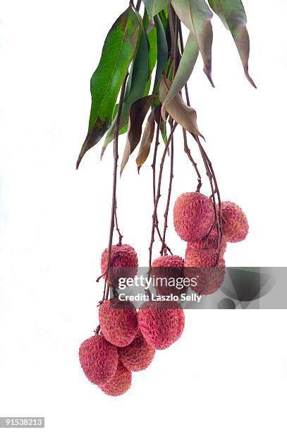 2,929 Lichi Stock Photos and High-res Pictures - Getty Images - raincitystudios.com