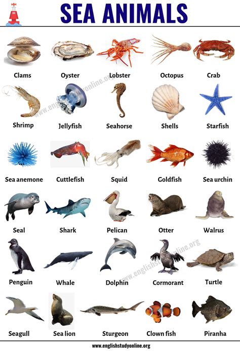 2 000 Free Sea Creatures Amp Mermaid Images Sea Animals Pictures Printable - Sea Animals Pictures Printable