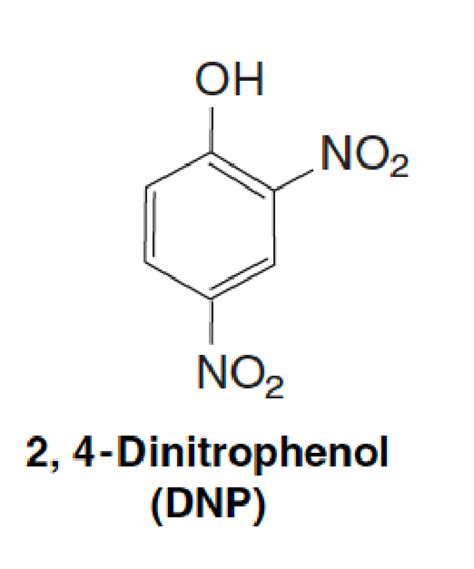 2 4 Dinitrophenol Effect On Mitochondria