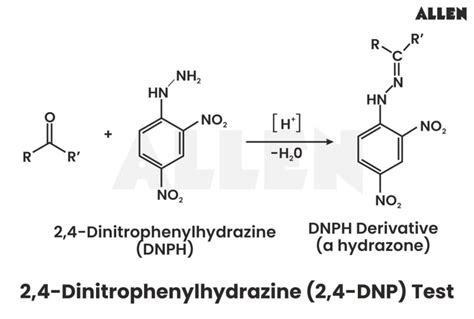 2 4 Dnp Test