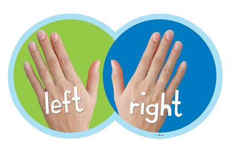 2 900 Left Hand Right Hand Stock Illustrations Left And Right Hand Template - Left And Right Hand Template