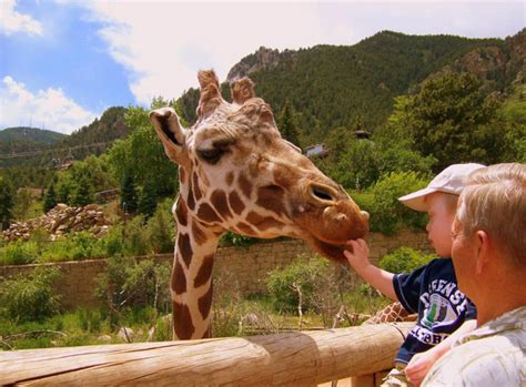 2 Colorado zoos named among best in US