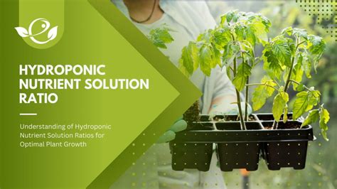 2 Hydroponic nutrient solutions - wintechmobiles.com