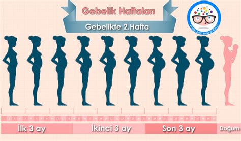 2 Haftalık Gebelik Bebeğim ve Ben. 