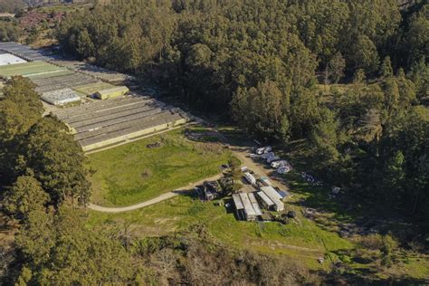 2 Half Moon Bay mushroom farms cited for workplace safety violations after January fatal shootings