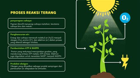 2 Proses reaksi di alam yang berlangsung | StudyX - wintechmobiles.com