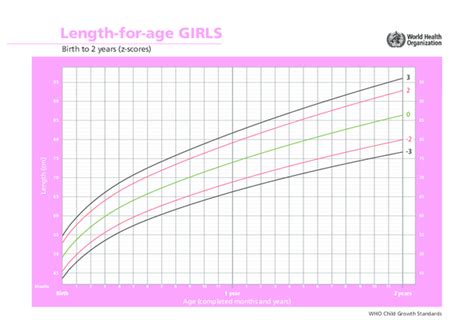 2 Z Score Girls pdf