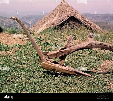 2 Arado De Madera 1
