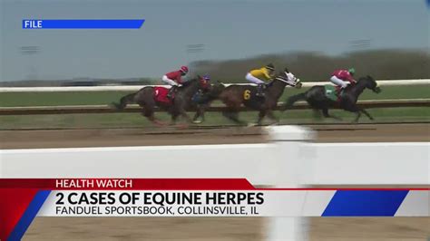 2 cases of equine herpes in Collinsville, Illinois
