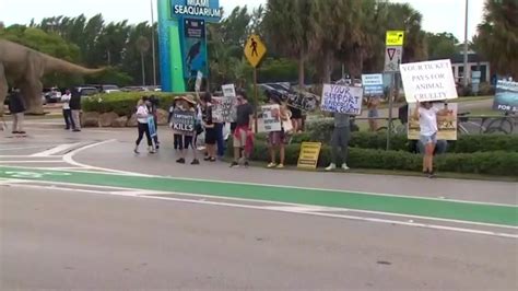 2 days after Lolita’s death, activists gather outside Miami Seaquarium to protest mistreatment of animals