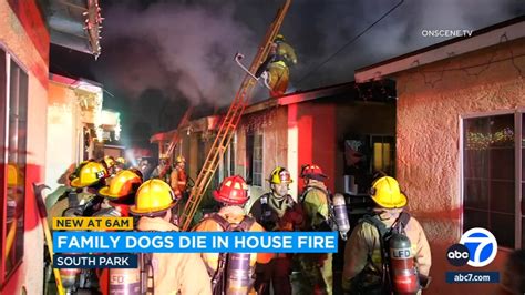 2 dogs killed in Christmas morning house fire