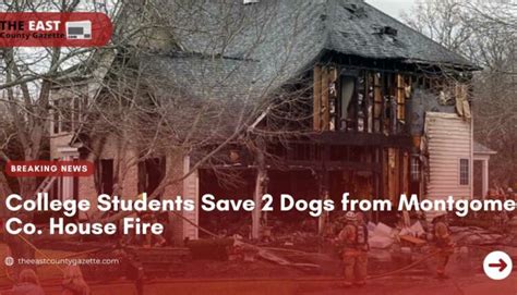 2 dogs rescued by college students from house fire in Montgomery Co.