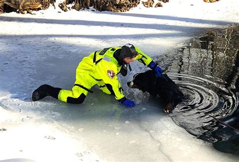 2 dogs rescued in 2 days by Aspen firefighters