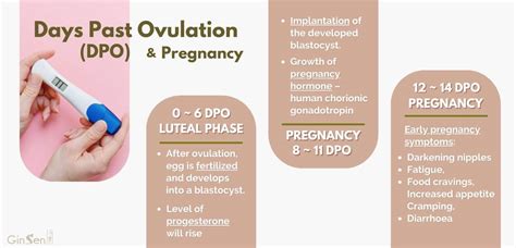 Early pregnancy symptoms by days past ovulation (DPO) can be simil