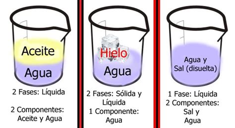 2 Fases Y 2 Componentes