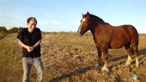 2 horses 1 guy video. Willow Griffith demonstrates Roman Riding, which is a trick riding skill of riding two horses at one time standing on their backs. This demonstration was do... 