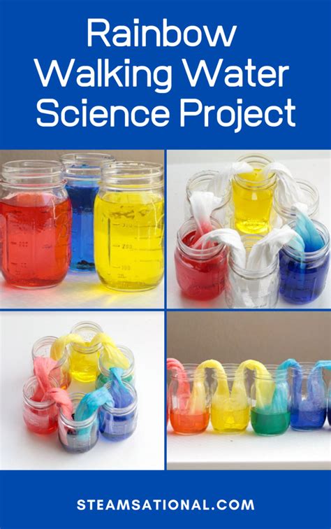 2 Ingredient Walking Rainbow Experiment That Works Like Science Experiment With Colors - Science Experiment With Colors