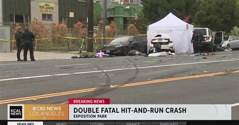 2 killed in Exposition Park hit-and-run crash; witnesses help apprehend driver